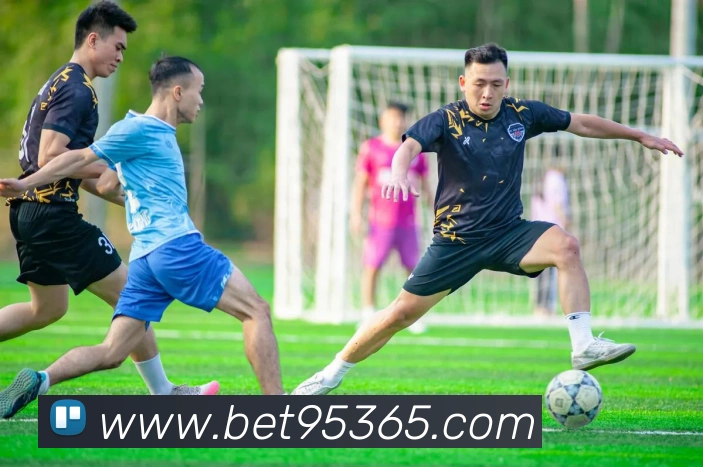 bet365com服务体系